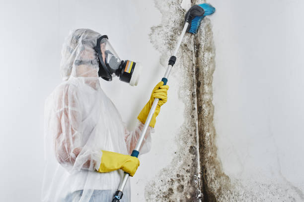 Water Damage Restoration in Schererville, IN