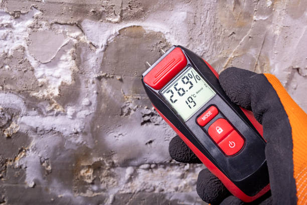 Best Office Mold Removal Services  in Schererville, IN