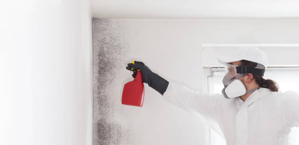 Best Mold Testing  in Schererville, IN